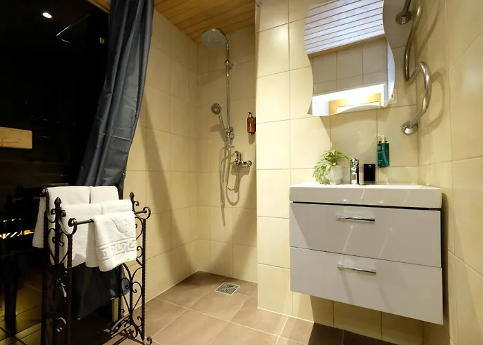 2br With Sauna Pikk Street 公寓 塔林